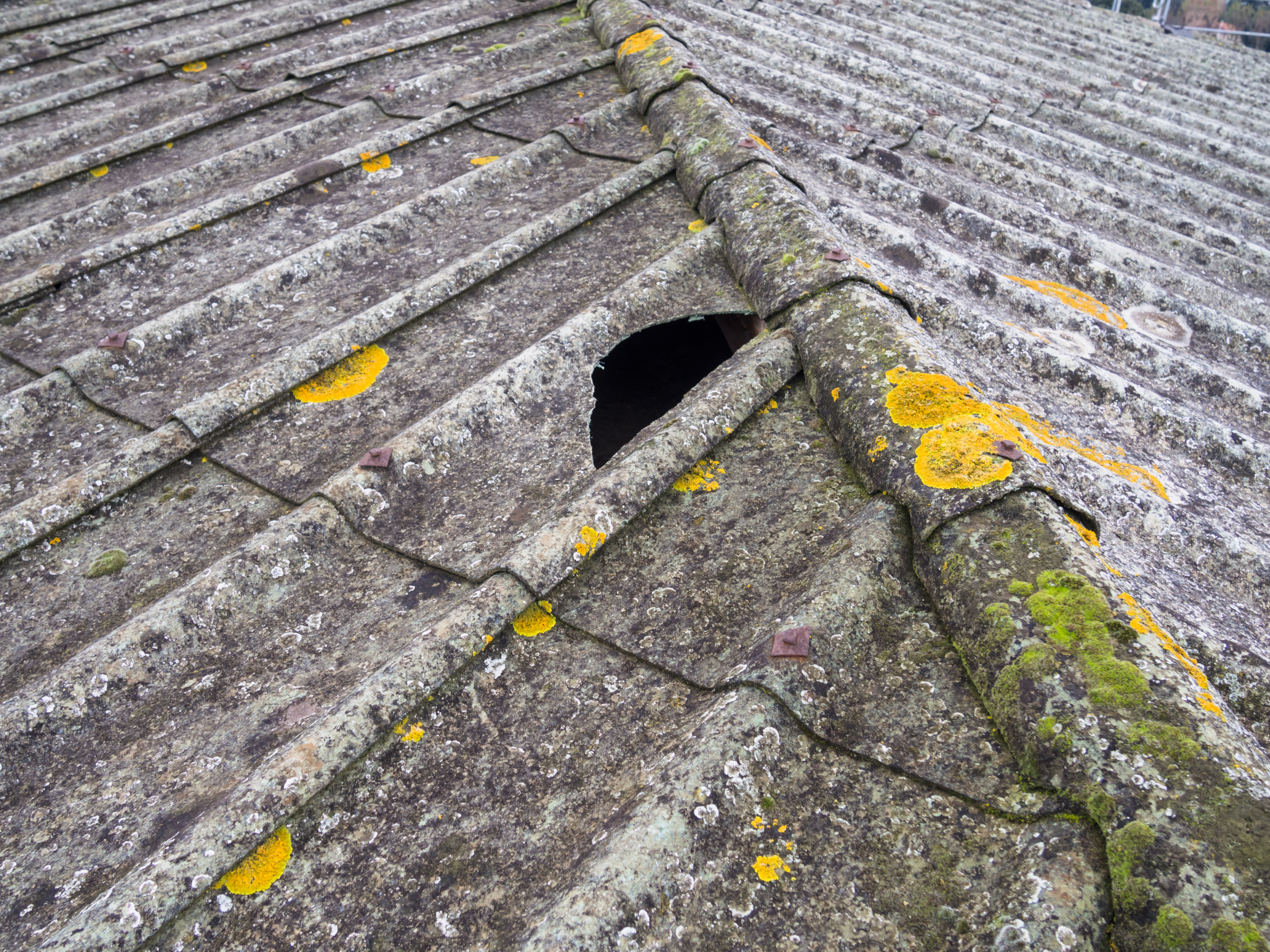 asbestos roof